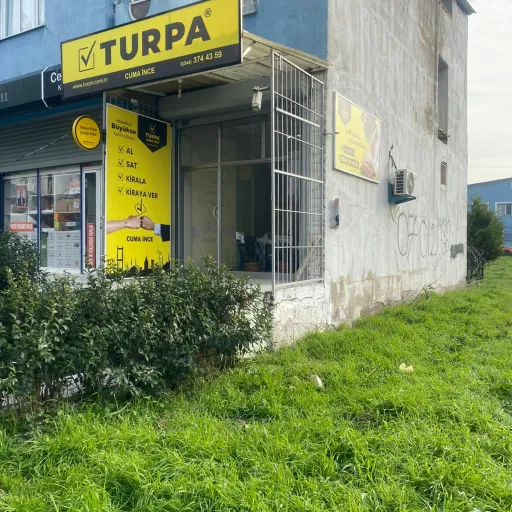 Turpa Cuma İNCE