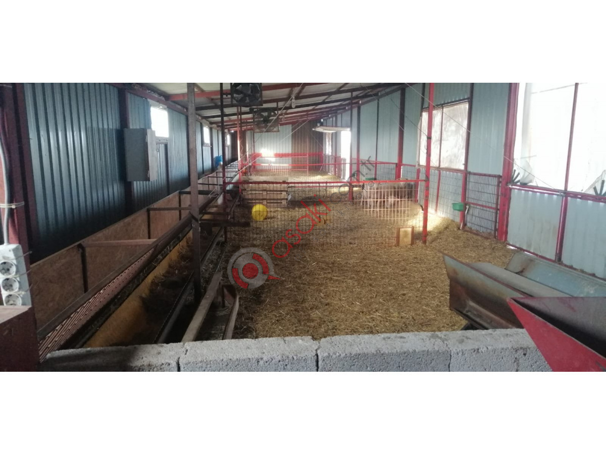 Edirne Uzunköprü faal durumda satılık çiftlik - Büyük 6