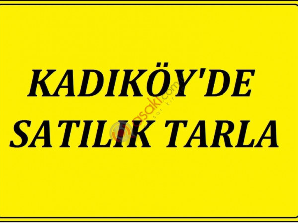 Tekirdağ Saray Kadıköy'de 5000 M2 Satılık Tarla