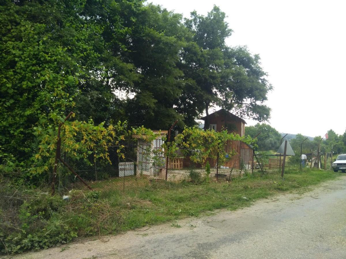 Çanakkale Biga Akkayrak Köyü Satılık Tarla - Büyük 1