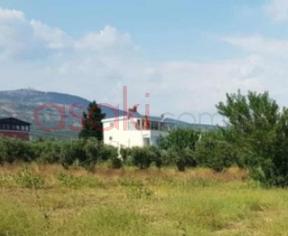 Kapaklı Pınarca Mh 2.242 M² Satılık Tarla