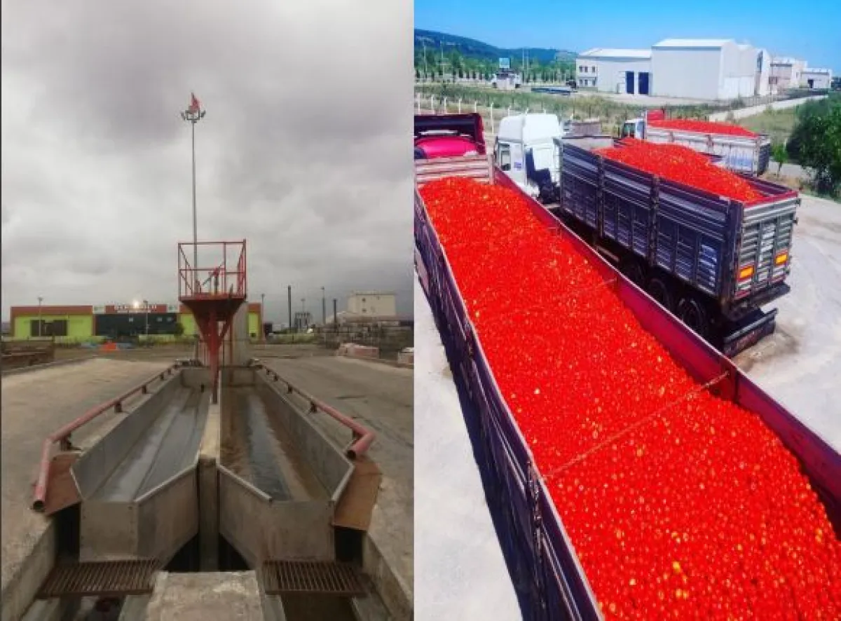 Samsun Bafrada  Satılık  Sebze Meyve Konserve İmalat Fabrikası - Büyük 20