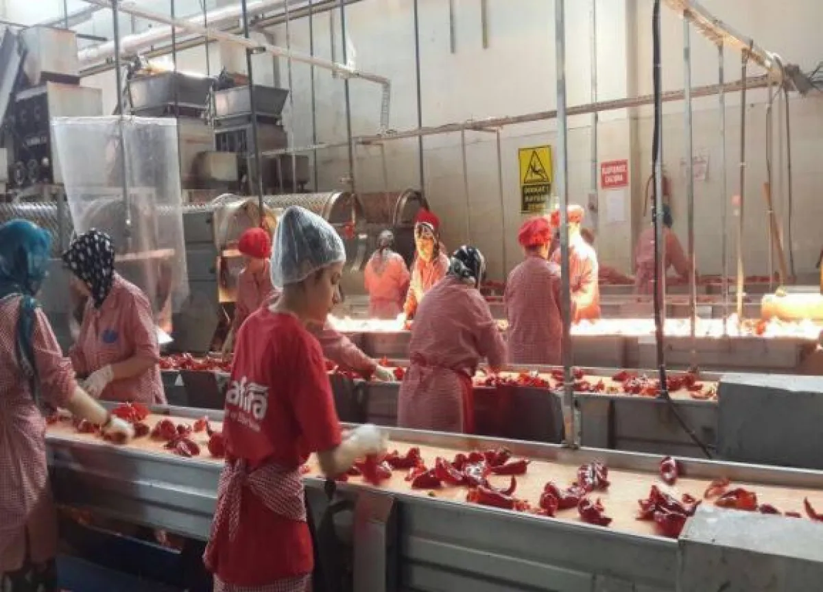 Samsun Bafrada  Satılık  Sebze Meyve Konserve İmalat Fabrikası - Büyük 26
