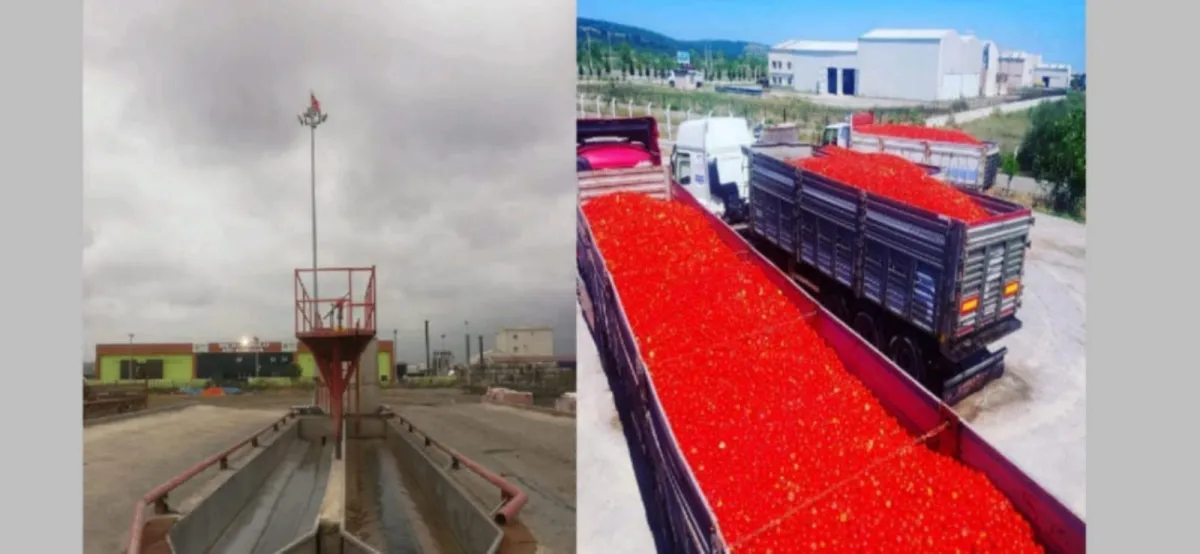 Samsun Bafrada  Satılık  Sebze Meyve Konserve İmalat Fabrikası - Büyük 9