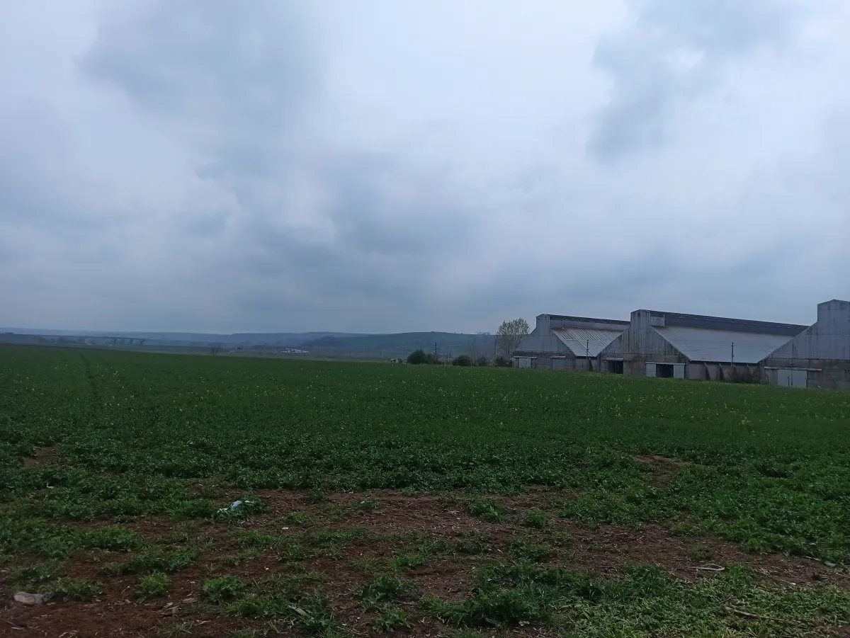 Tekirdağ Muratlı Turan Mahallesinde Satılık Arsa - Büyük 4