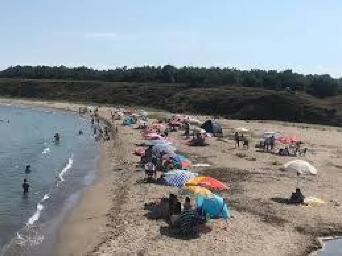 Kırklareli beğendik köyü satılık tarla imara açılması bekleniyor - Büyük 15