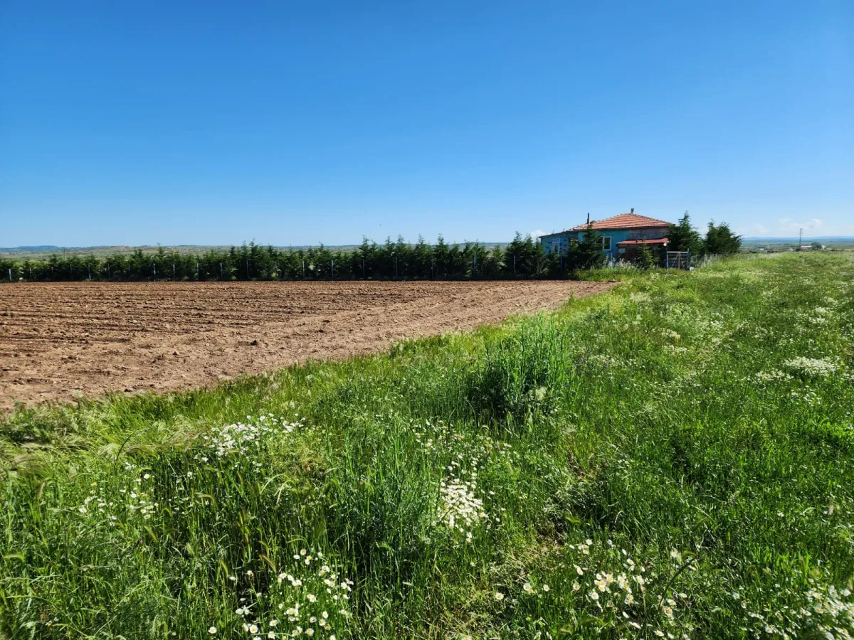 Süloğlu Tatarlar 'da Çiftliğe Uygun 6095m2 Tarla - Büyük 6