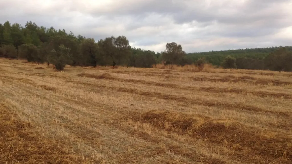 ÇANAKKALE ECEABAT ALÇITEPE KÖYÜNDE DENİZ MANZARALI SATILIK TARLA - Büyük 12