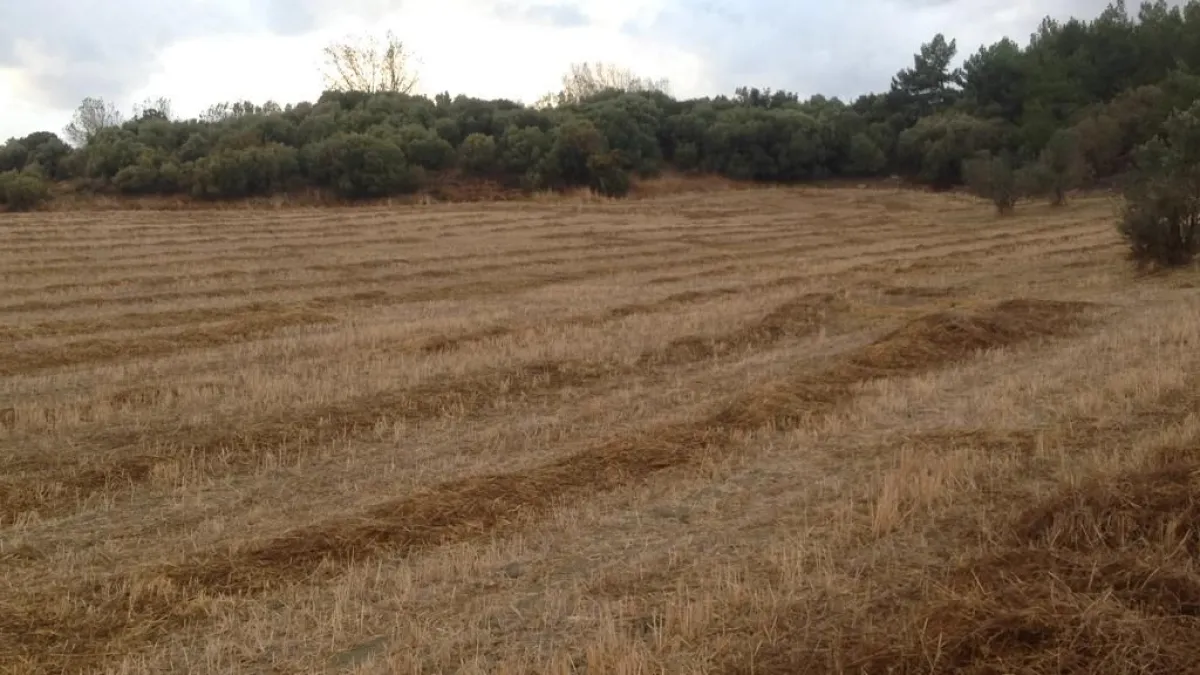 ÇANAKKALE ECEABAT ALÇITEPE KÖYÜNDE DENİZ MANZARALI SATILIK TARLA - Büyük 17