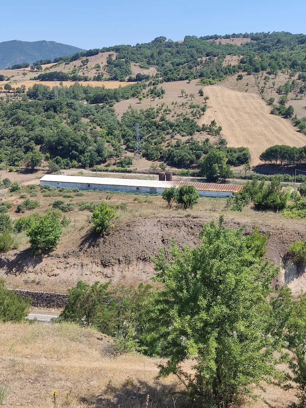 ÇANAKKALE MERKEZ AKÇALI KÖYÜNDE ANAYOLA CEPHE SATILIK TARLA - Büyük 10