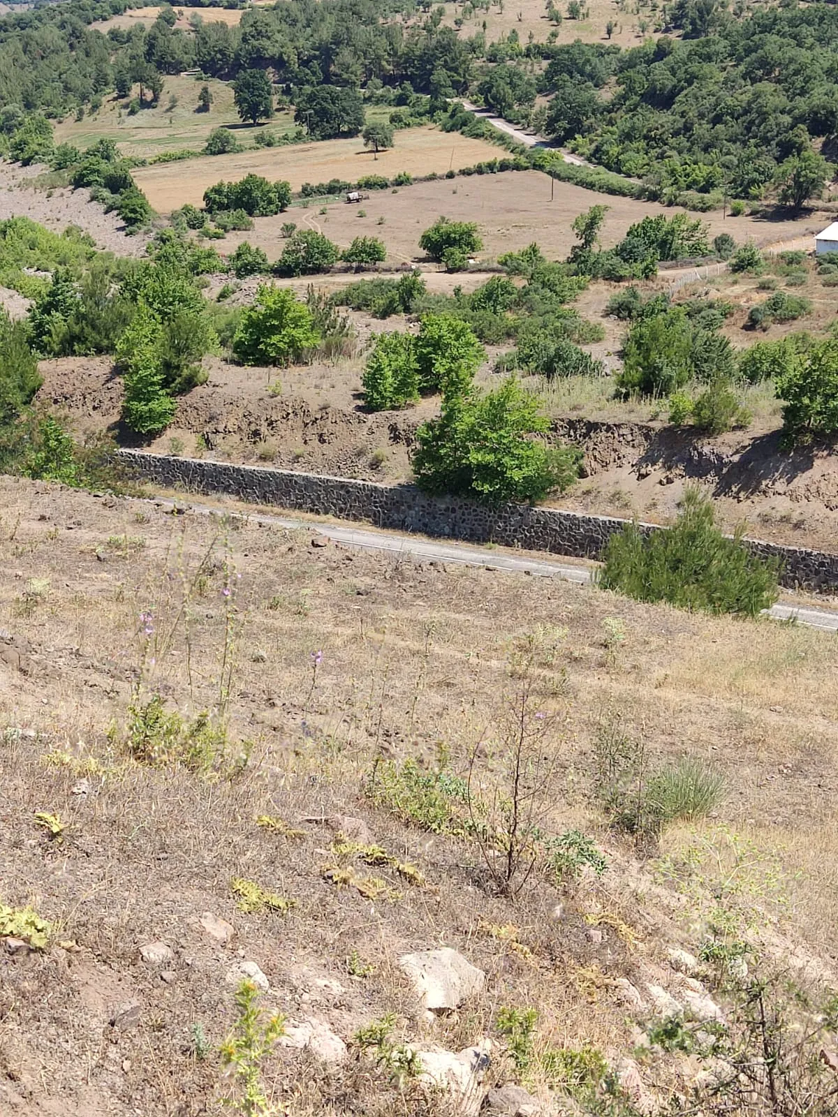 ÇANAKKALE MERKEZ AKÇALI KÖYÜNDE ANAYOLA CEPHE SATILIK TARLA - Büyük 11