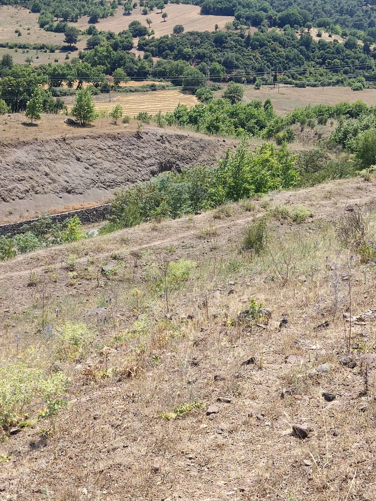 ÇANAKKALE MERKEZ AKÇALI KÖYÜNDE ANAYOLA CEPHE SATILIK TARLA - Büyük 12