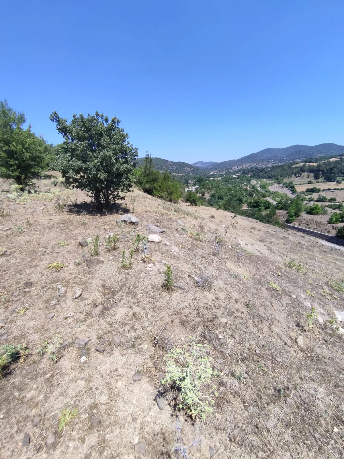 ÇANAKKALE MERKEZ AKÇALI KÖYÜNDE ANAYOLA CEPHE SATILIK TARLA - Büyük 14