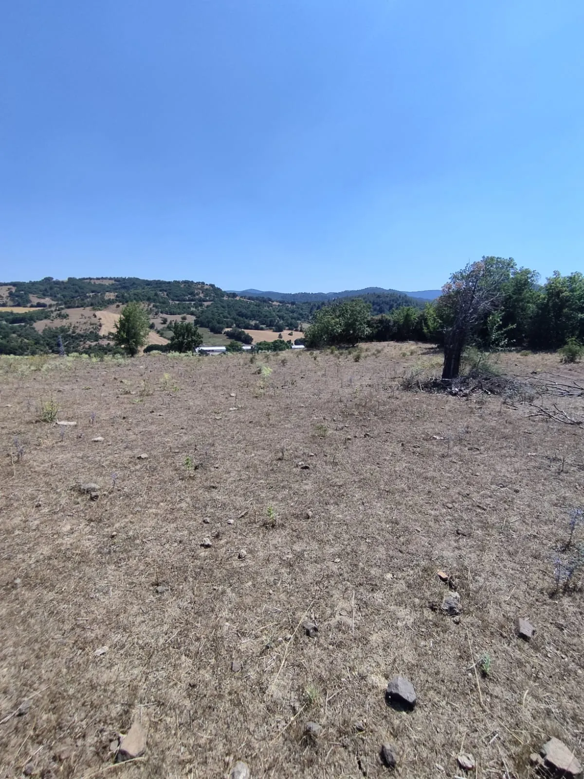 ÇANAKKALE MERKEZ AKÇALI KÖYÜNDE ANAYOLA CEPHE SATILIK TARLA - Büyük 6