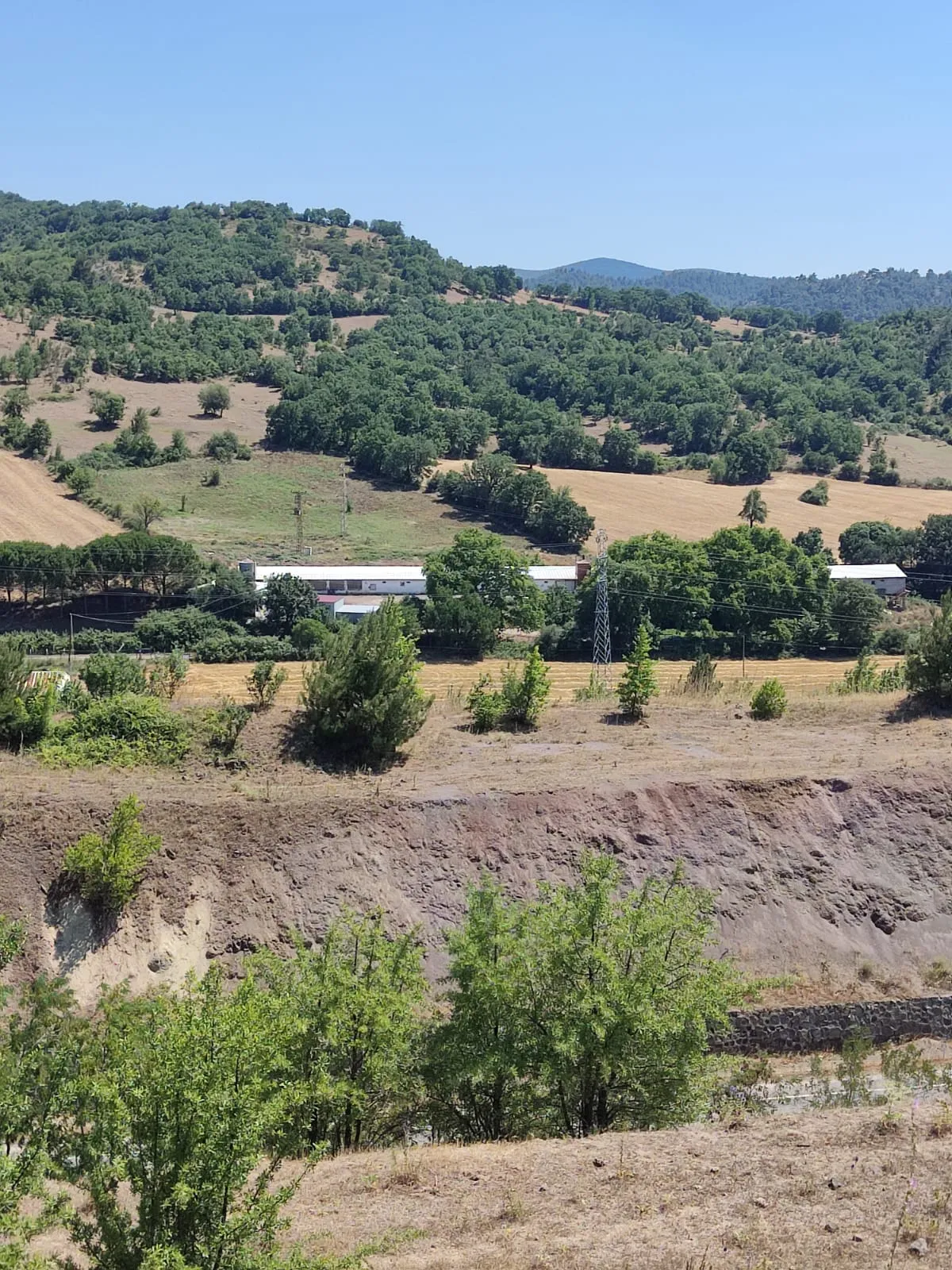 ÇANAKKALE MERKEZ AKÇALI KÖYÜNDE ANAYOLA CEPHE SATILIK TARLA - Büyük 8