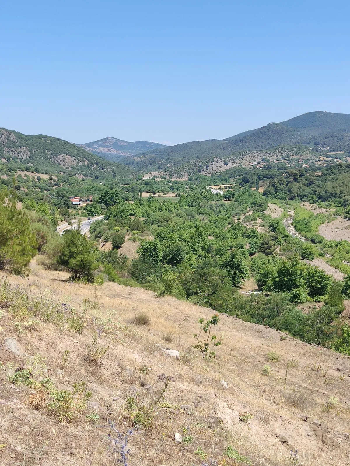 ÇANAKKALE MERKEZ AKÇALI KÖYÜNDE ANAYOLA CEPHE SATILIK TARLA - Büyük 9