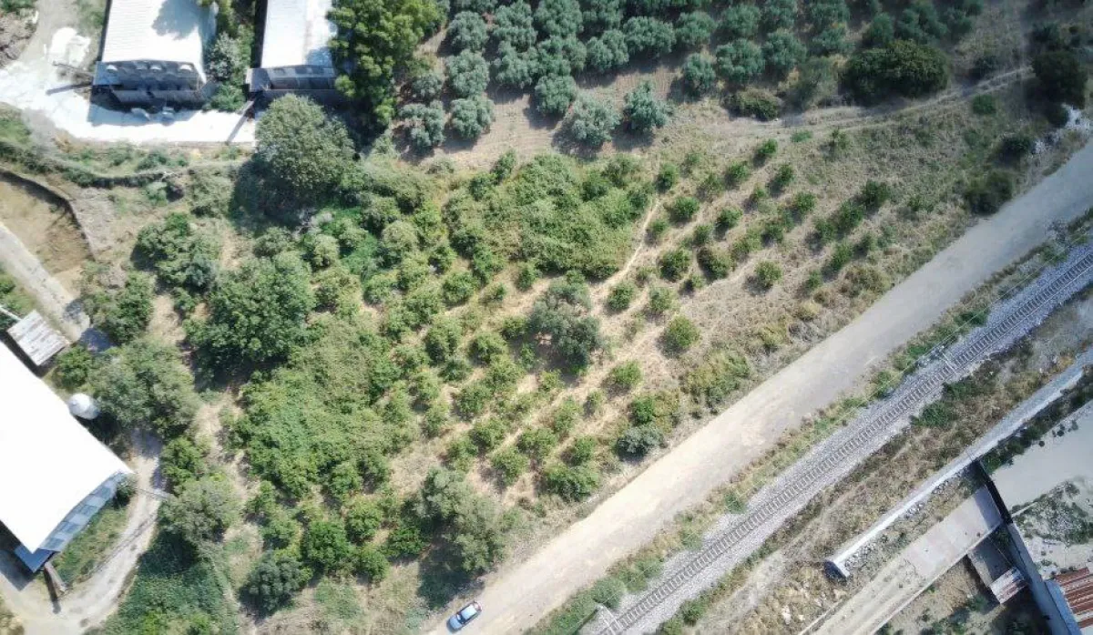 ERA NİVADAN MENEMEN YENİ-ŞEHİR HASTANESİ YANI KAT KARŞILIĞI ARSA - Büyük 1