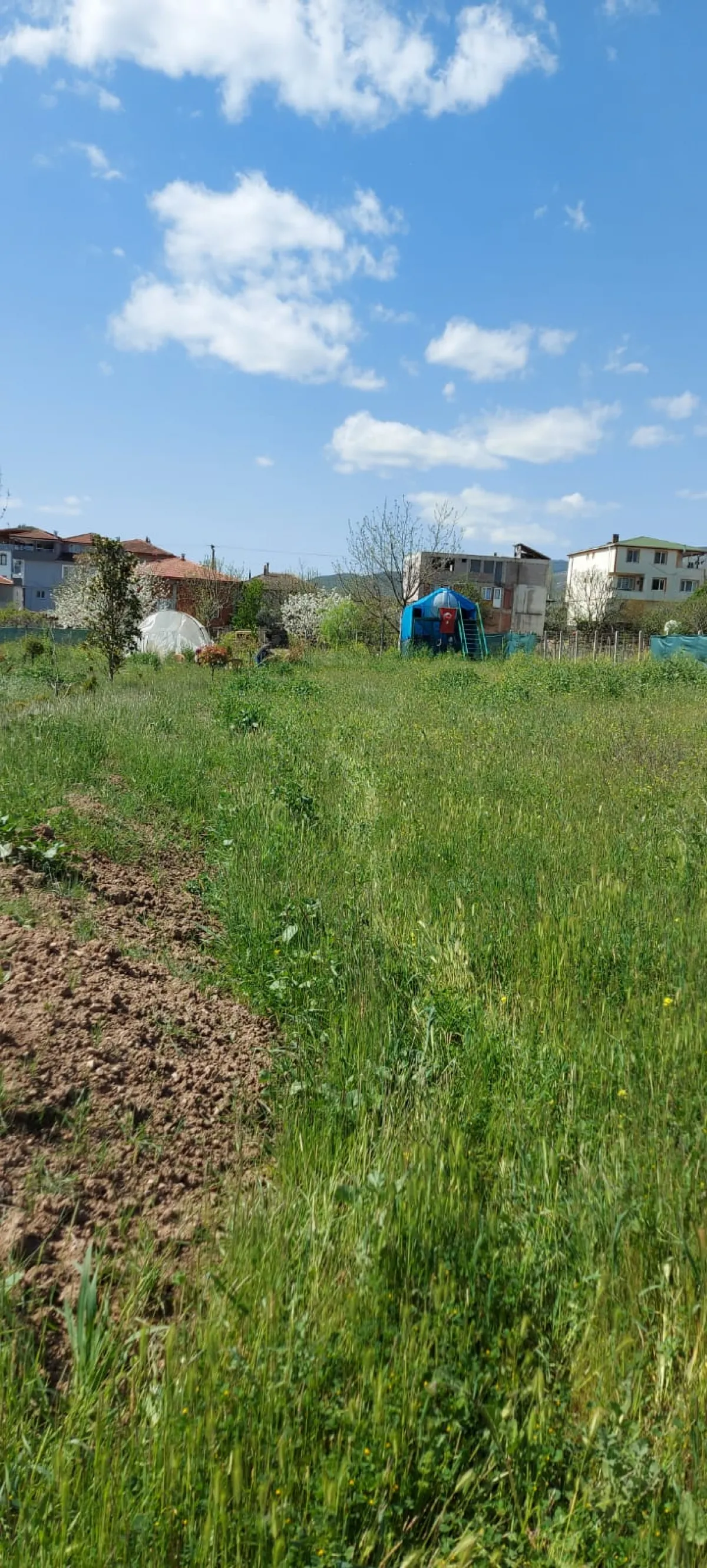 Sakarya Pamukova Bacıköy'de Satılık Bağ Bahçe - Büyük 0