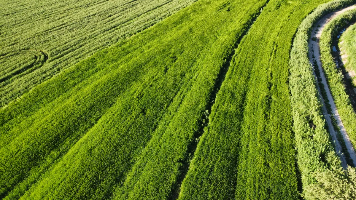 ÇANAKKALE ÖZBEK KÖYÜNDE 3800 m2 SATILIK TARLA HAN EMLAK OTOMOTİV' - Büyük 11