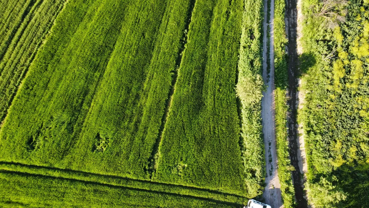 ÇANAKKALE ÖZBEK KÖYÜNDE 3800 m2 SATILIK TARLA HAN EMLAK OTOMOTİV' - Büyük 12