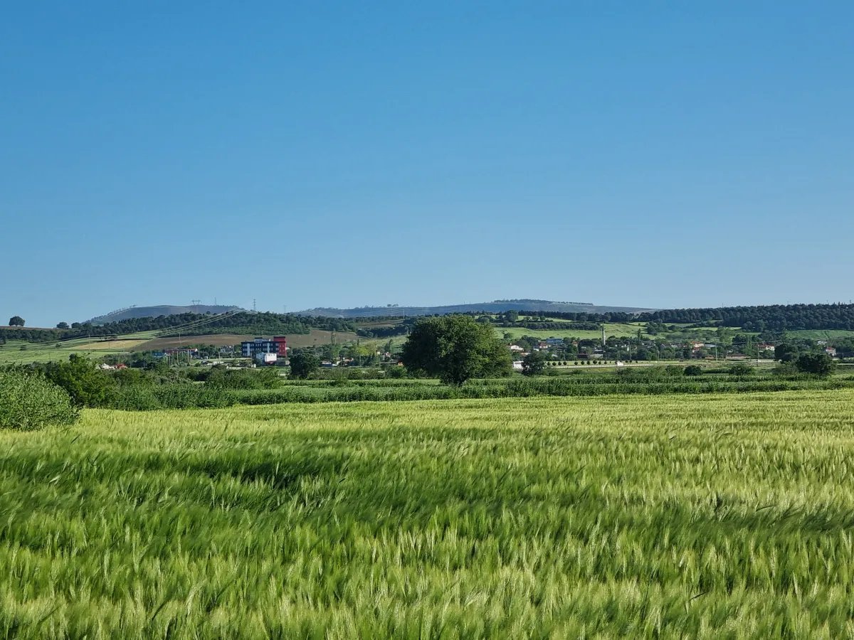 ÇANAKKALE ÖZBEK KÖYÜNDE 3800 m2 SATILIK TARLA HAN EMLAK OTOMOTİV' - Büyük 24