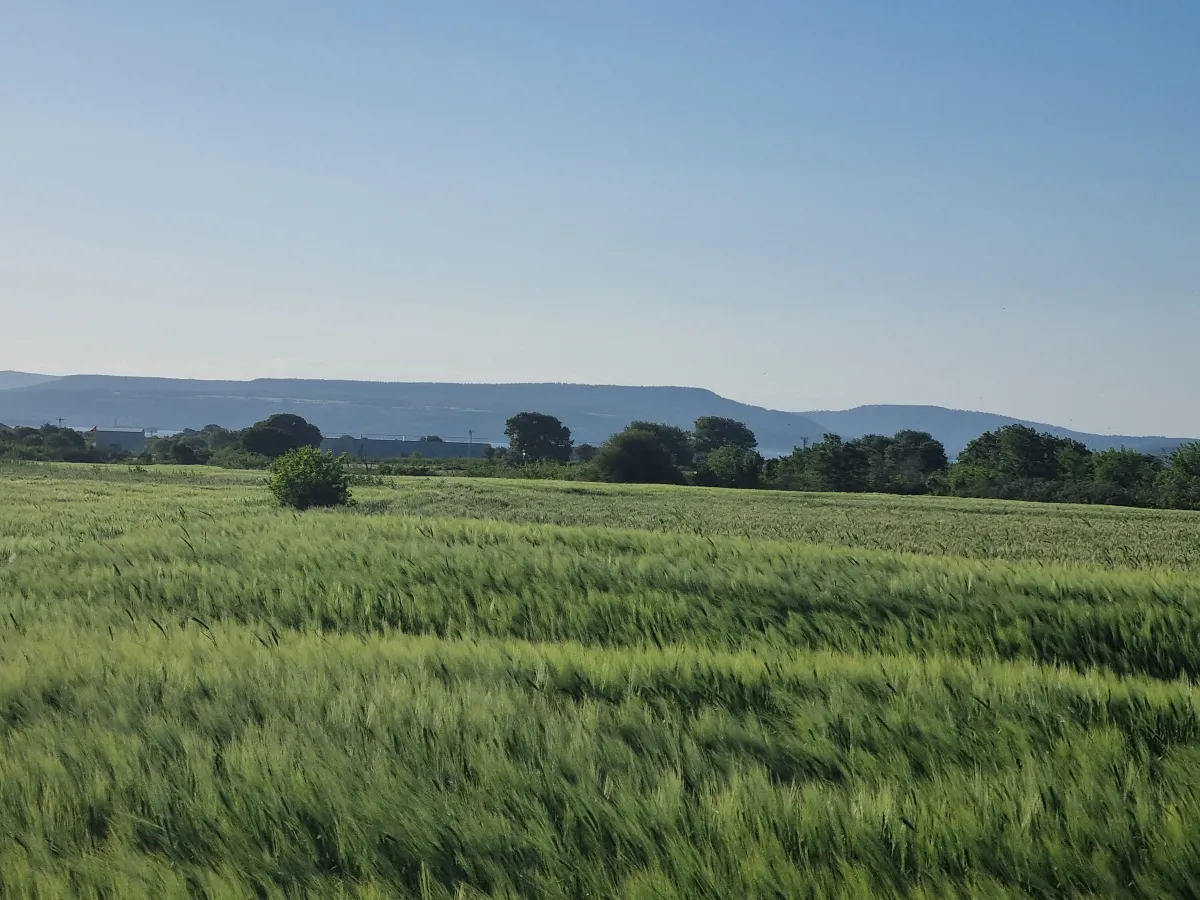 ÇANAKKALE ÖZBEK KÖYÜNDE 3800 m2 SATILIK TARLA HAN EMLAK OTOMOTİV' - Büyük 25