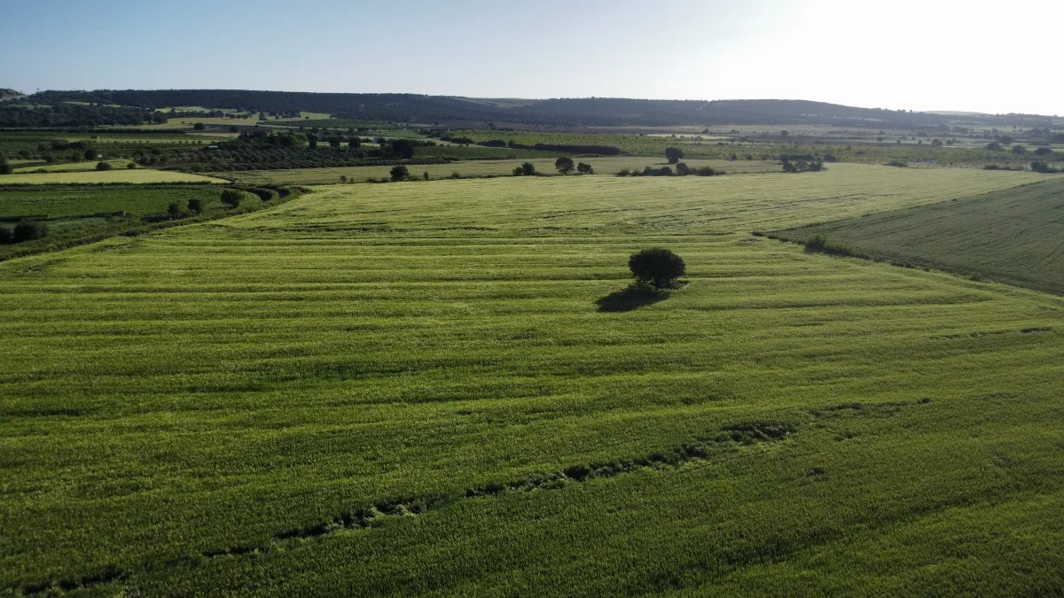 ÇANAKKALE ÖZBEK KÖYÜNDE 3800 m2 SATILIK TARLA HAN EMLAK OTOMOTİV' - Büyük 8