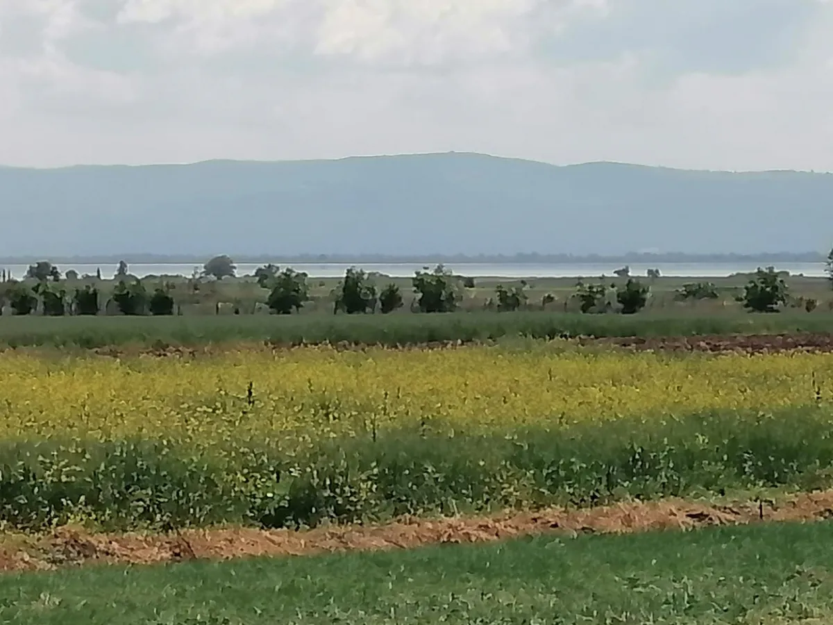 Src Emlaktan Bursa Karacabey Gölkıyı mah.de tek tapu yatırımlık - Büyük 7