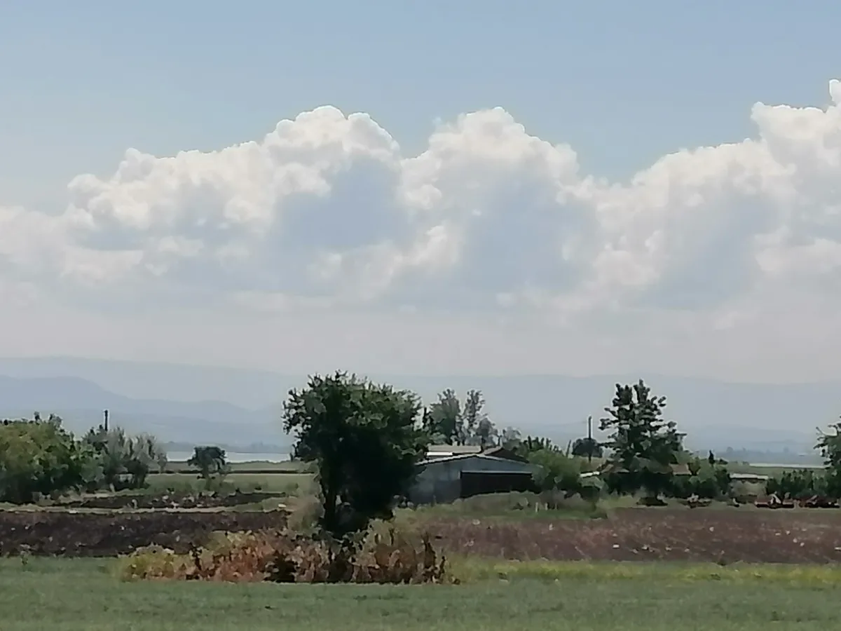 Src Emlaktan Bursa Karacabey Gölkıyı mah.de tek tapu yatırımlık - Büyük 8