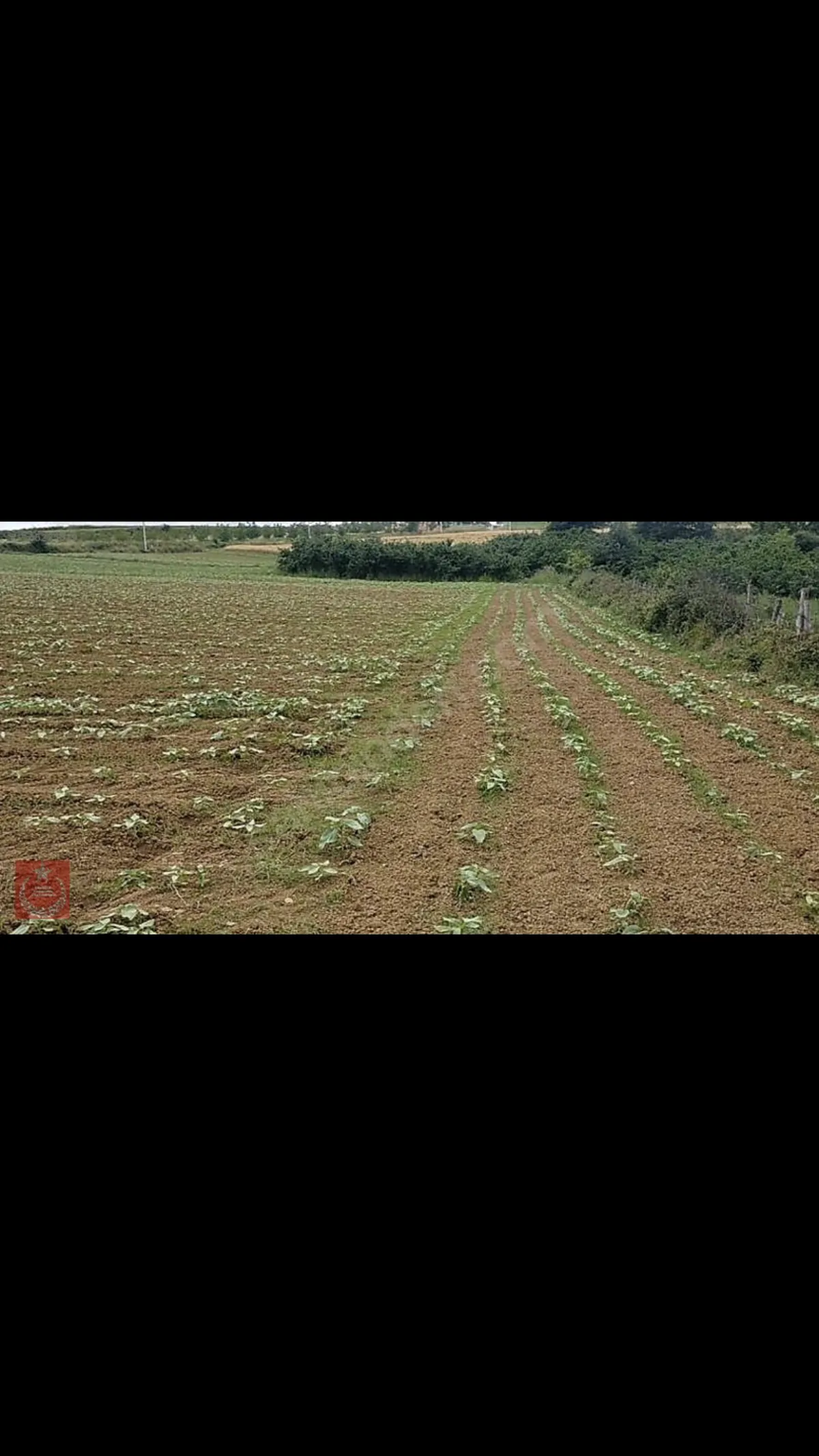 Sakarya adapazarı büyükhataplı mah satılık tarla