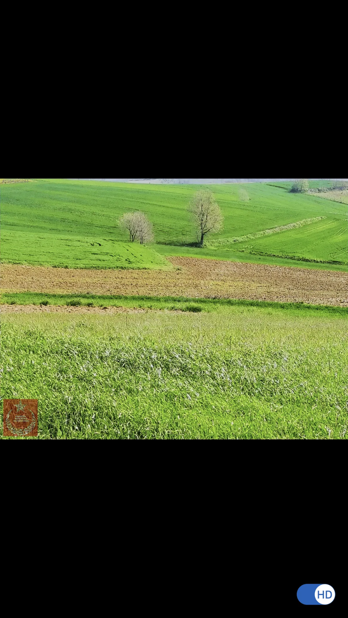 Kaynarca akbaşlı mah. Satılık yollu tarla - Büyük 4