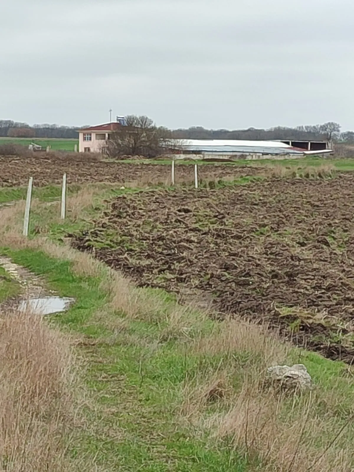 Tekirdağ Kapaklı'da 8.663 M²Satılık Tarla