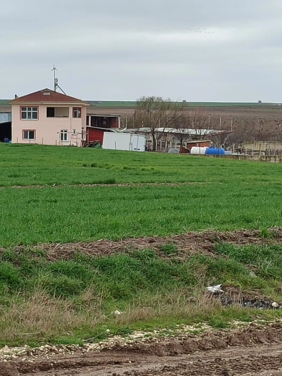 Tekirdağ Kapaklı'da 8.663 M²Satılık Tarla - Büyük 8