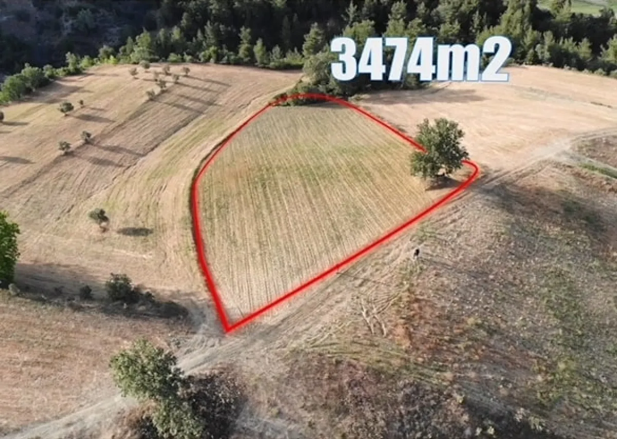 Muğla Menteşe Kuzluk Mahallesinde 3475 m2 Satılık Tarla - Büyük 2