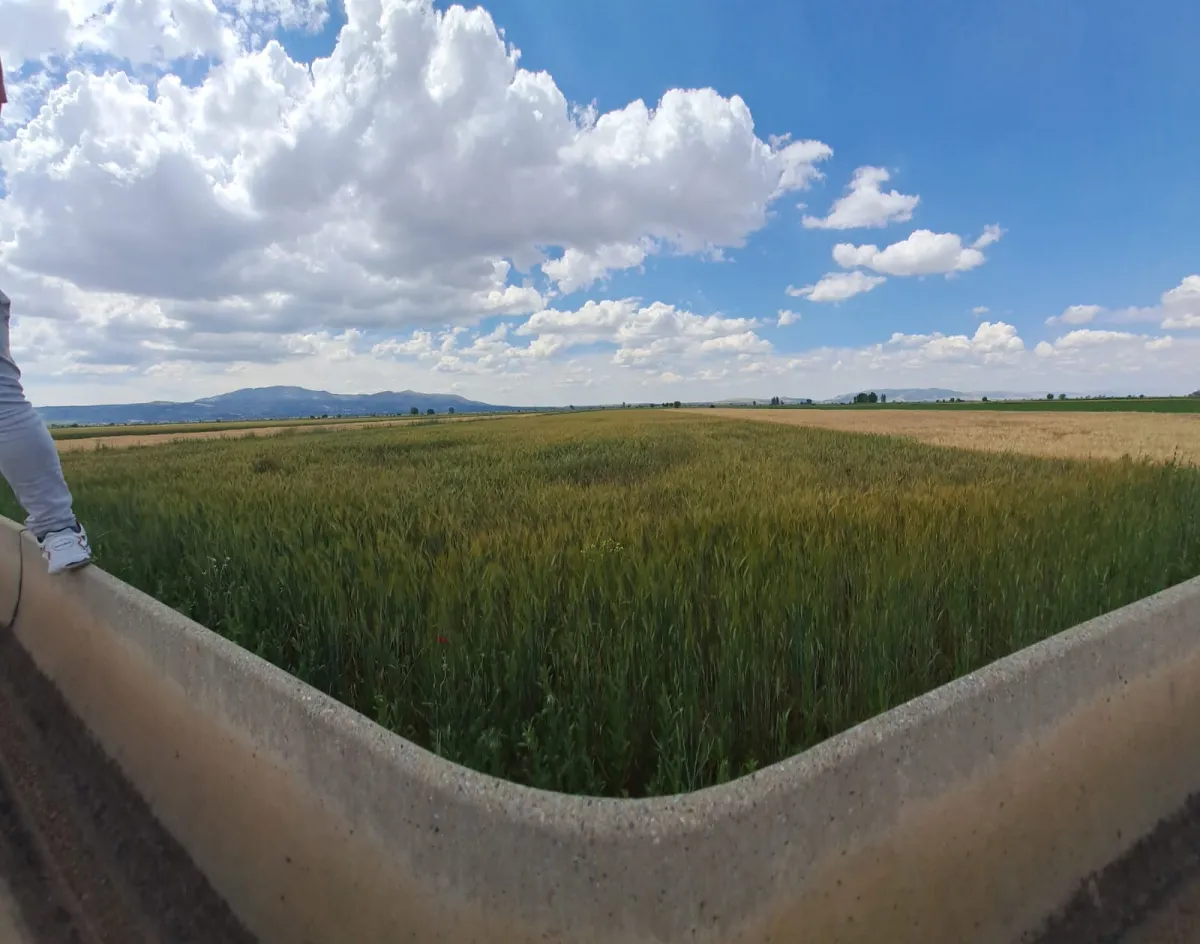 SATILIK TARLA ÇAL İSABEY DE OVADA ÇİFT TARAFI YOL - Büyük 4