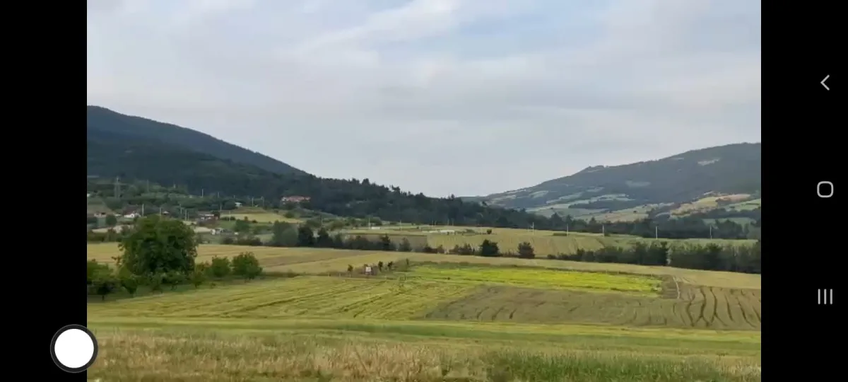 SATILIK ULUDAĞ GAYRİMENKUL GEYVE ÇAMLIK KADİRLER 5300 m'2 - Büyük 5