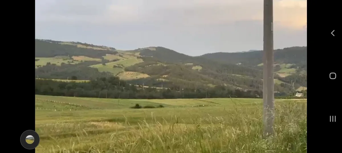 SATILIK ULUDAĞ GAYRİMENKUL GEYVE ÇAMLIK KADİRLER 5300 m'2 - Büyük 7