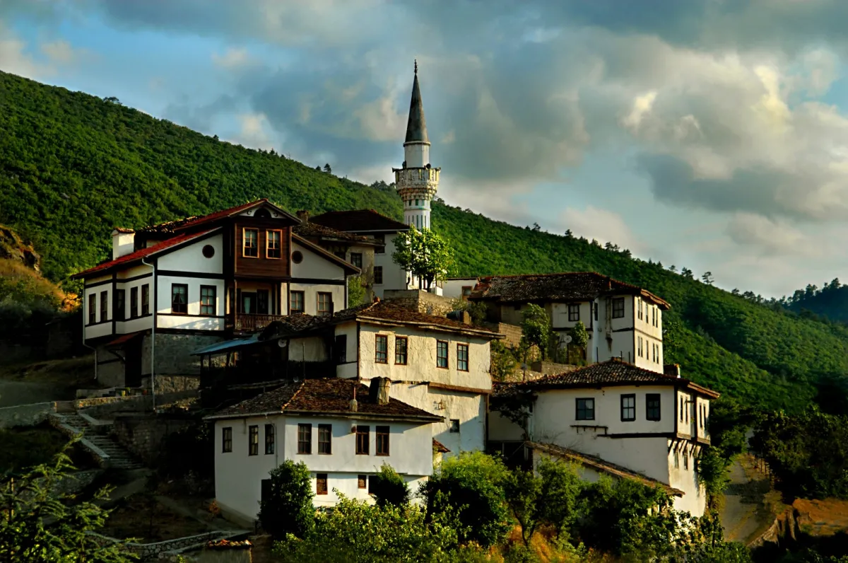 SATILIK ULUDAĞ GAYRİMENKUL GEYVE ÇAMLIK KADİRLER 5100 m'2 - Büyük 23