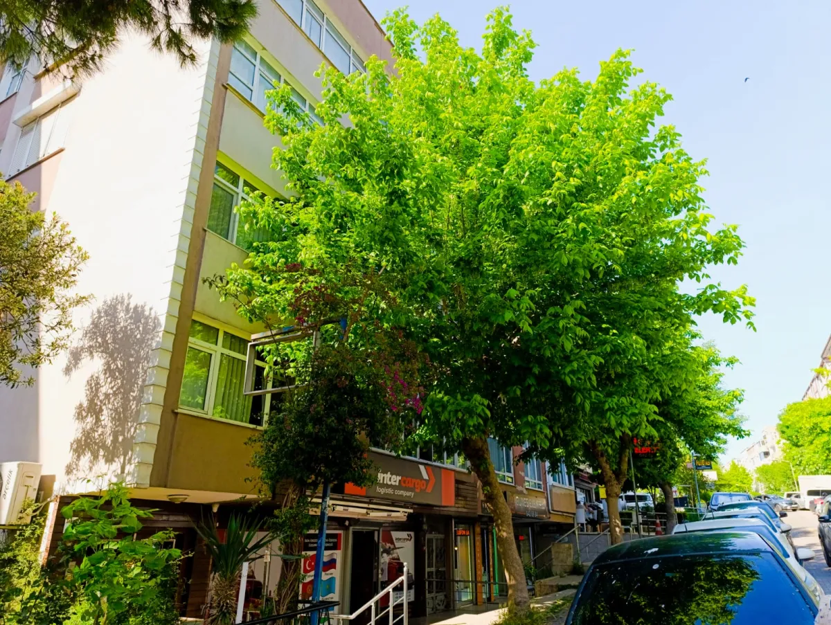 Asya Emlak'dan Merter Kınalıtepe Sokakta 2+1 giriş daire satılık
