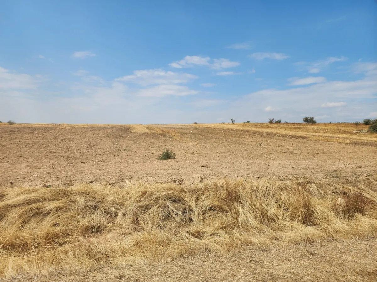 Edirne Cumhurıyet Mh Satılık Tarla