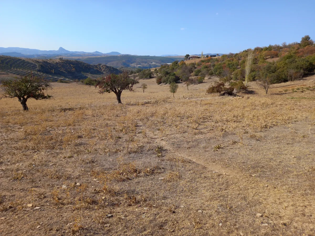 GÖRDES DE SATILIK 132.000 M2 TARIM VE HAYVANCILIĞA UYGUN ARAZİ - Büyük 1