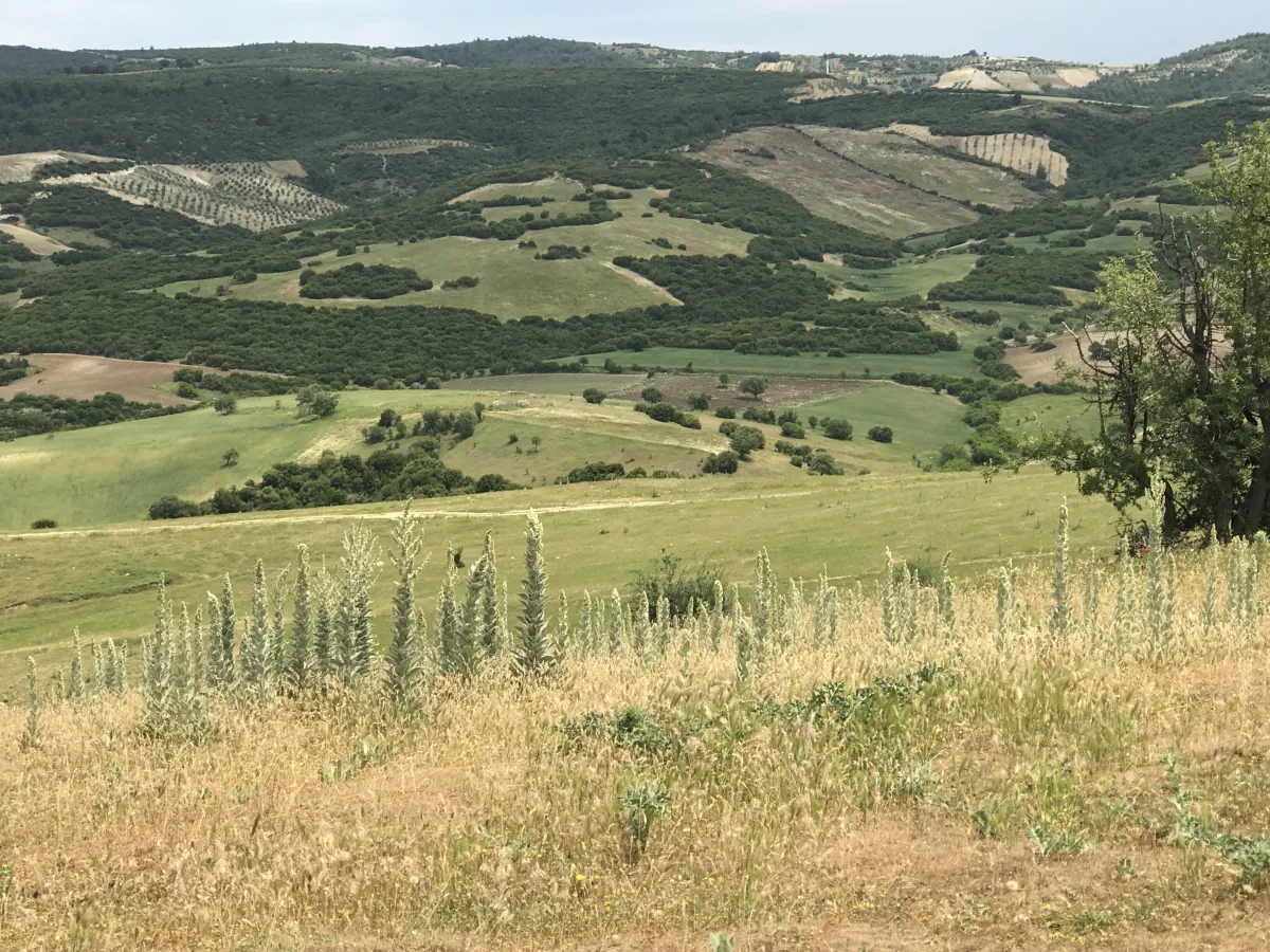 GÖRDES DE SATILIK 132.000 M2 TARIM VE HAYVANCILIĞA UYGUN ARAZİ - Büyük 10