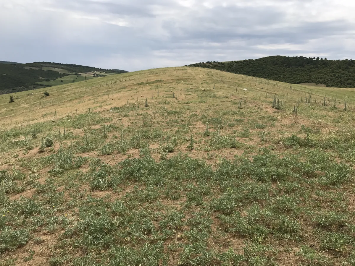 GÖRDES DE SATILIK 132.000 M2 TARIM VE HAYVANCILIĞA UYGUN ARAZİ - Büyük 11