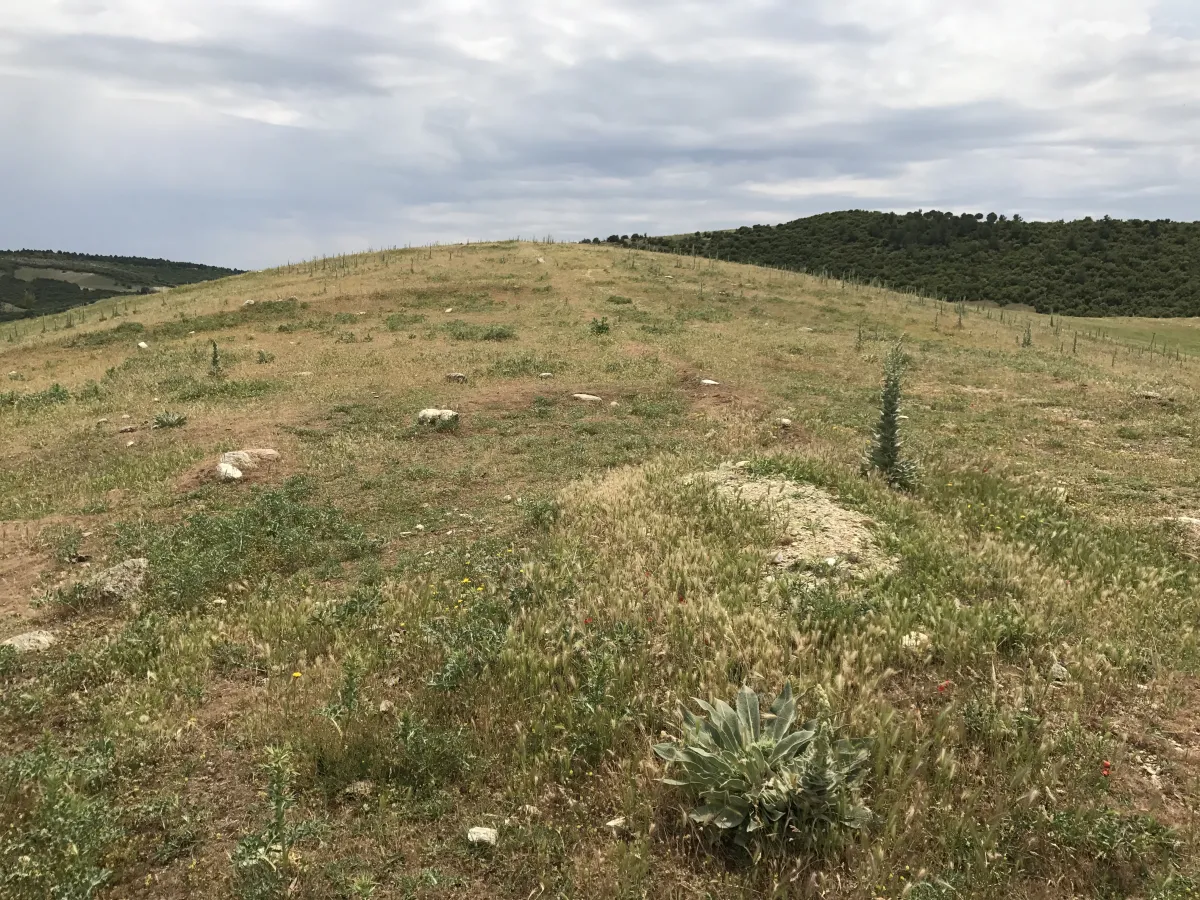 GÖRDES DE SATILIK 132.000 M2 TARIM VE HAYVANCILIĞA UYGUN ARAZİ - Büyük 13