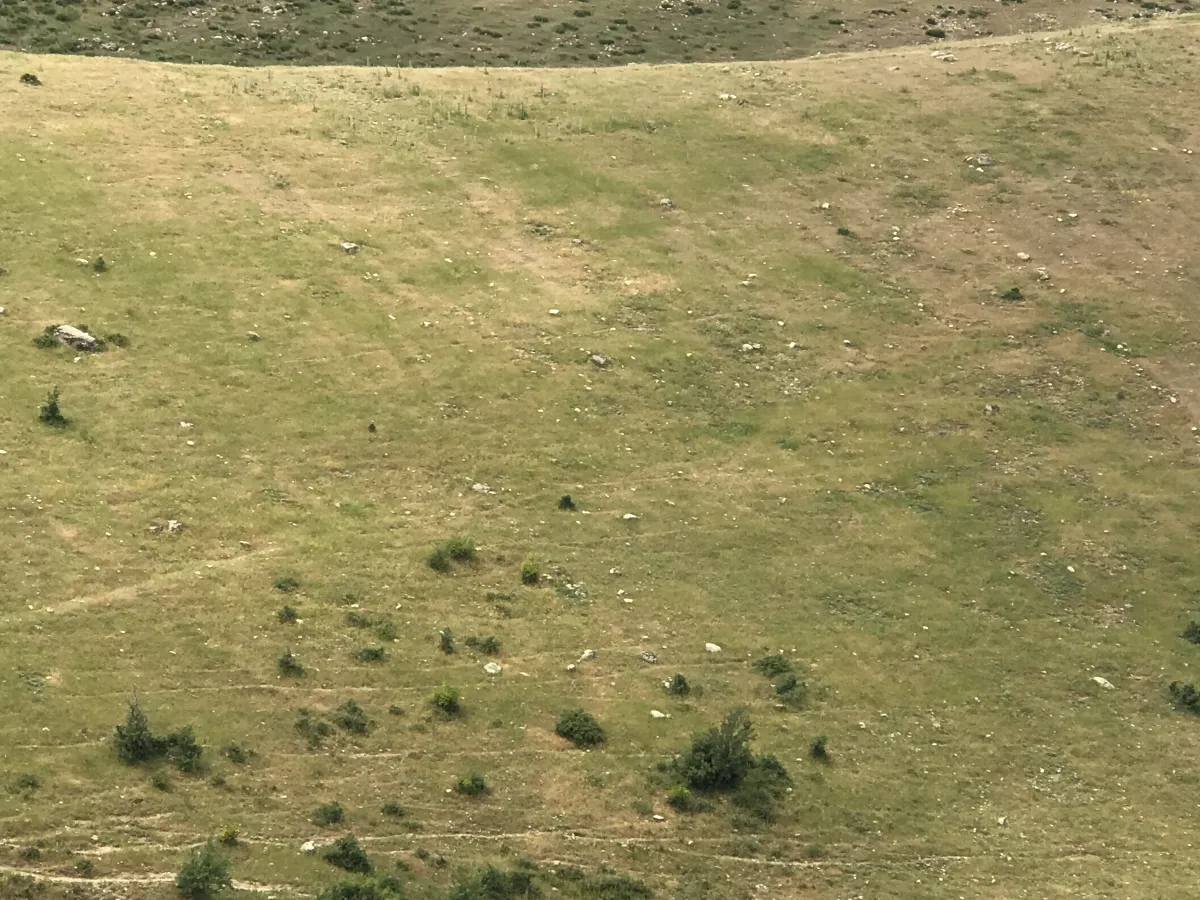 GÖRDES DE SATILIK 132.000 M2 TARIM VE HAYVANCILIĞA UYGUN ARAZİ - Büyük 5