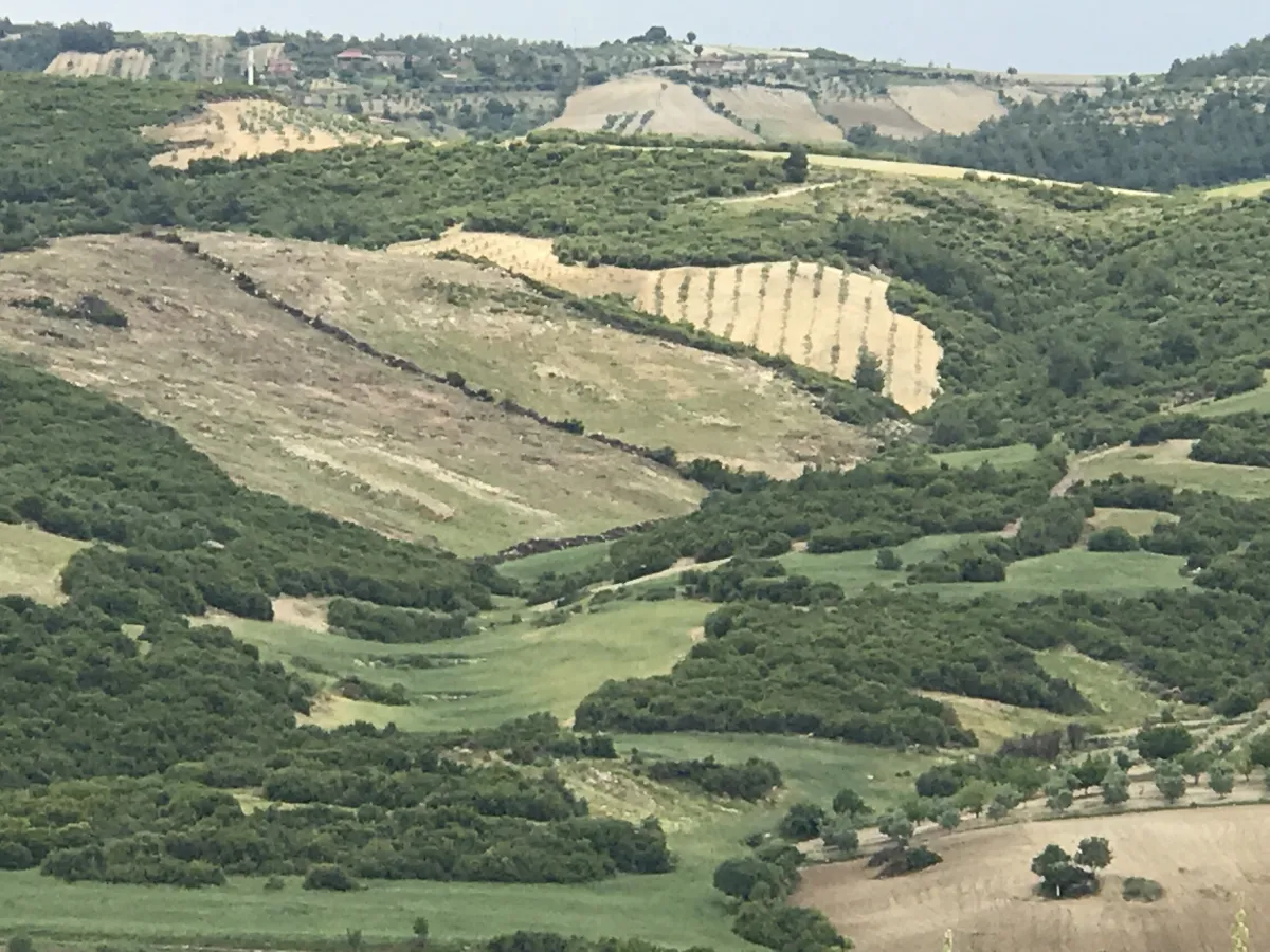 GÖRDES DE SATILIK 132.000 M2 TARIM VE HAYVANCILIĞA UYGUN ARAZİ - Büyük 8