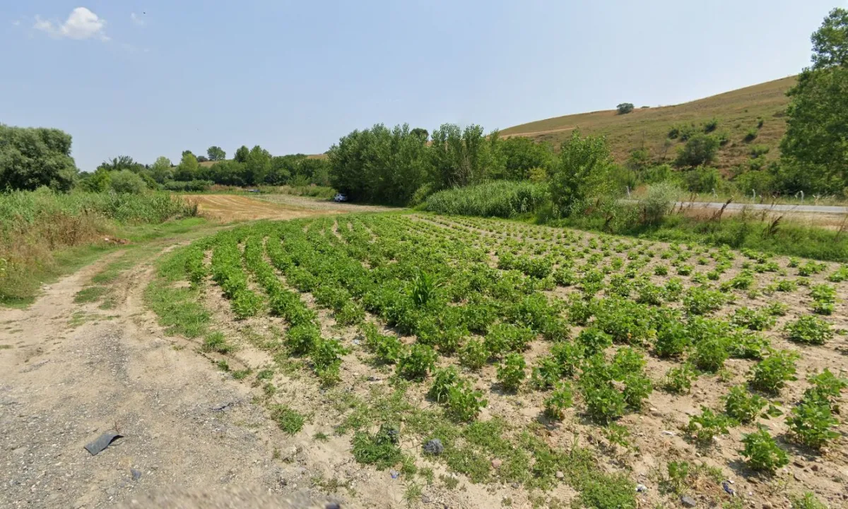 Degirmenköyde 2.744  Satılık Tarla