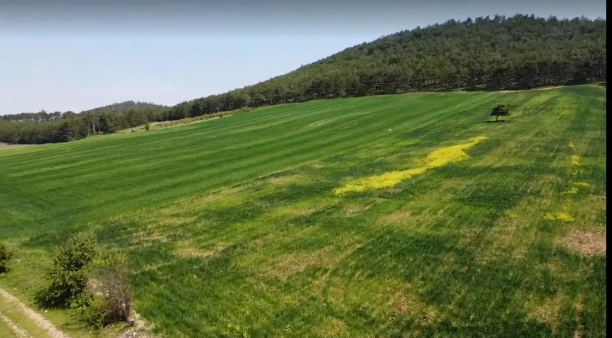 TAŞOLUKTA 98 DÖNÜM YAYLA HAVASINDA SEYİR TERASI MANZARASINDAARSA - Büyük 3