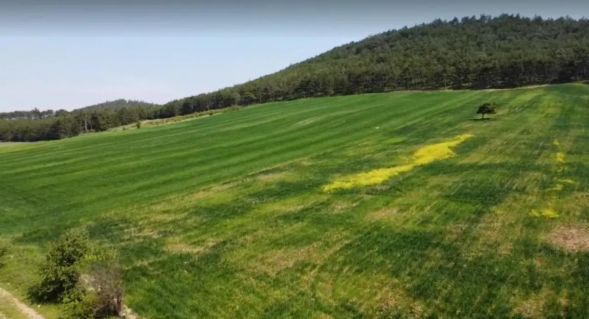 TAŞOLUKTA 98 DÖNÜM YAYLA HAVASINDA SEYİR TERASI MANZARASINDAARSA - Büyük 5