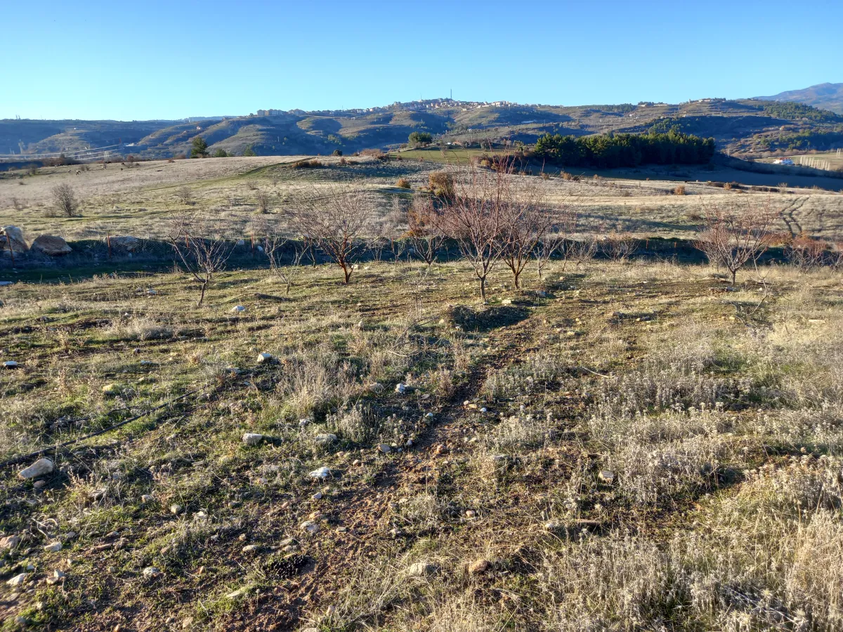 MANİSA GÖRDES BEŞEYLÜL DE SATILIK 45.000 M2 MEYVE BAHÇESİ - Büyük 4